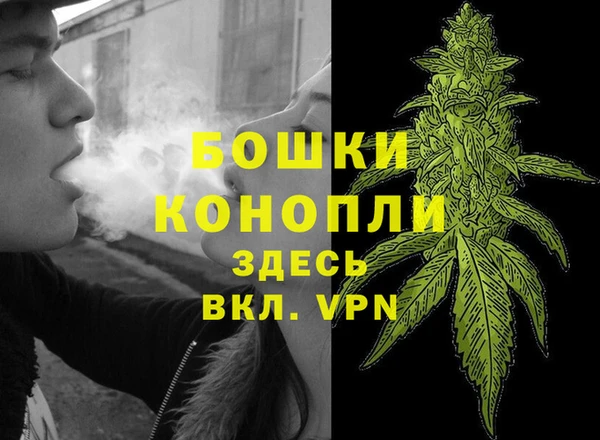 гидропоника Балахна