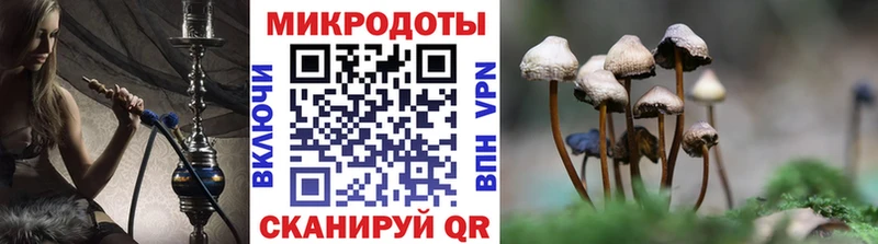 Псилоцибиновые грибы GOLDEN TEACHER  Стародуб 